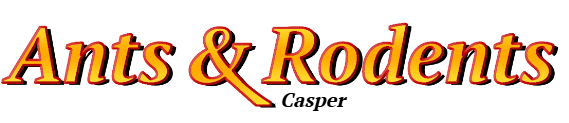Casper Ant Exterminator & Rodent Control Company Logo